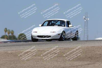 media/Oct-04-2025-OnGrid (Sat) [[44bd565ffa]]/Purple Group/Grapevine/